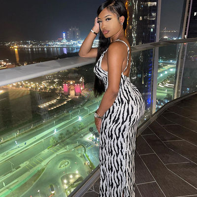 Sexy Print Stylish Ladies Dress Zebra Stripe V Neck Halter Dress