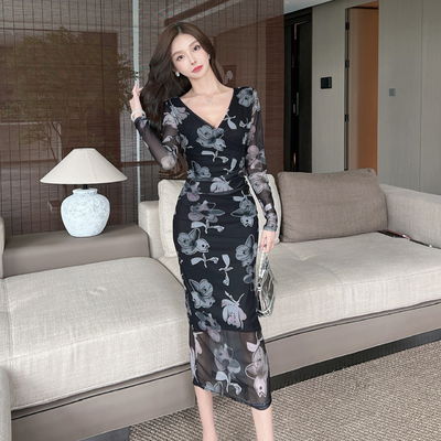 Mesh Print Sexy Hip Dress Long Sleeve Low Back Wrap Hip Dress